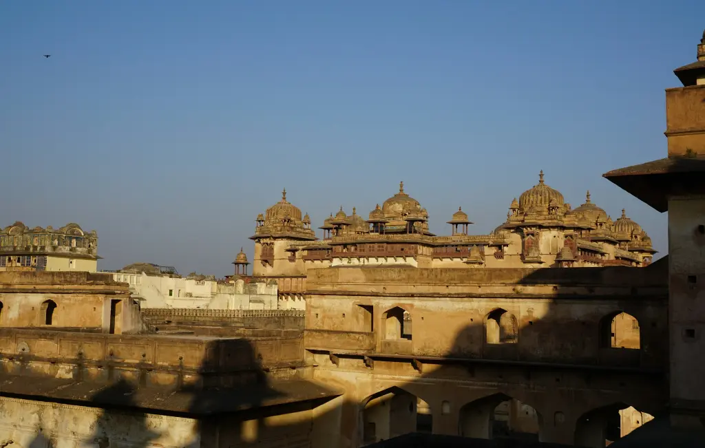 unsplash_v9-m3r6jEl0_orchha.webp