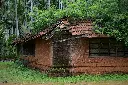 unsplash_HrgYACD28fc_kerala.jpg.jpg.jpg.jpg.jpg.jpg.jpg.jpg.webp