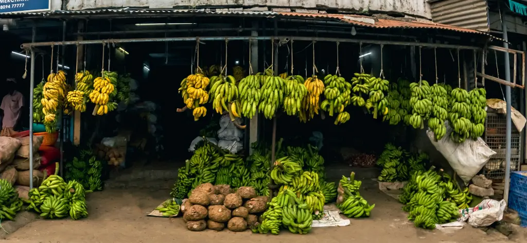 unsplash_tvU5PVUBKrE_kerala.jpg.jpg.jpg.jpg.jpg.webp
