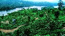 unsplash_x-1MZu3-cak_kerala.jpg.jpg.jpg.jpg.webp