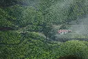 unsplash_Jqc2nOH3u3Y_kerala.jpg.jpg.jpg.webp