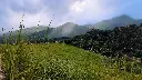 unsplash_AaCYah-6q1k_KERALA.jpg.webp