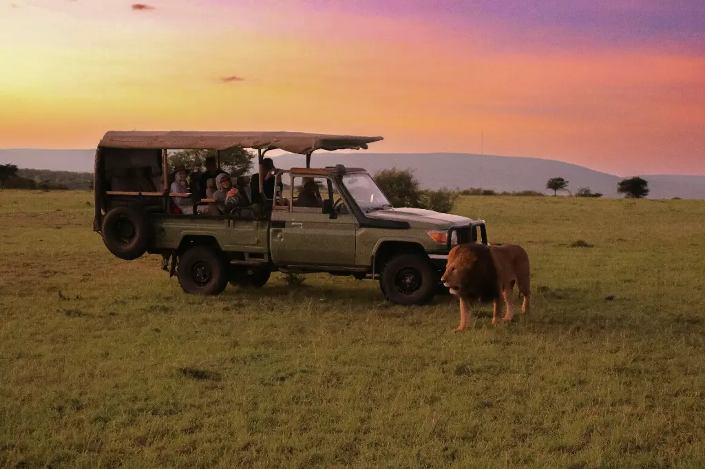 unsplash_GxU80twc7KA_safari.jpg.jpg.jpg.webp