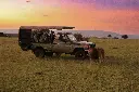 unsplash_GxU80twc7KA_safari.jpg.jpg.jpg.webp