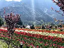 unsplash_4hr8MStXT7s_kashmir.webp