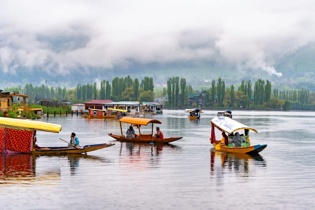unsplash_XHG0uFAlEGM_kashmir.webp