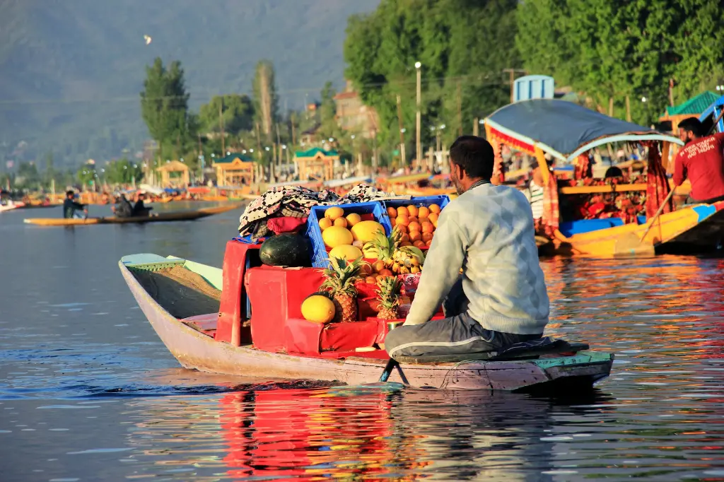 unsplash_SVMS7i2wKho_kashmir.jpg.jpg.jpg.jpg.jpg.jpg.jpg.jpg.jpg.jpg.jpg.jpg.jpg.jpg.webp