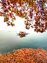 unsplash_uxhQCPPL1wU_kashmir.jpg.jpg.jpg.jpg.jpg.jpg.jpg.jpg.jpg.jpg.jpg.jpg.jpg.webp