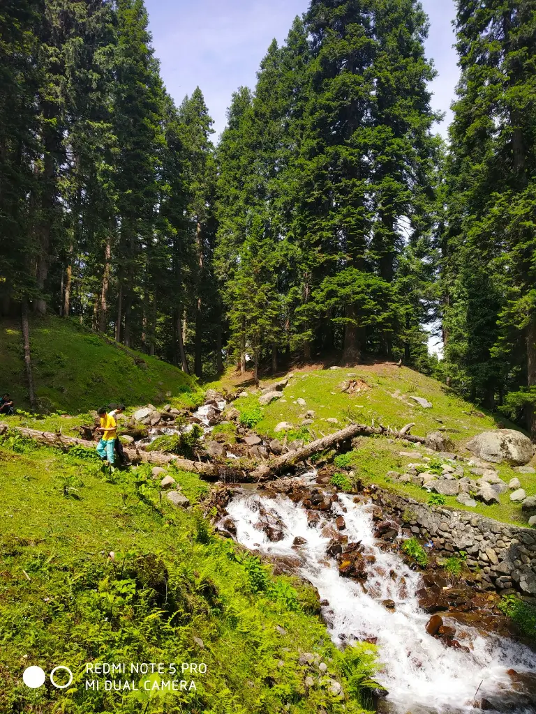 unsplash_lVkX7V40VG8_kashmir.jpg.jpg.jpg.jpg.webp