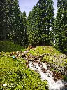 unsplash_lVkX7V40VG8_kashmir.jpg.jpg.jpg.jpg.webp
