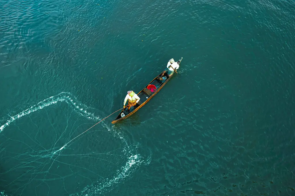 unsplash_AXcEv1wJ0Ic_kerala.jpg.jpg.jpg.jpg.jpg.webp