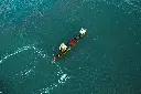 unsplash_AXcEv1wJ0Ic_kerala.jpg.jpg.jpg.jpg.jpg.webp