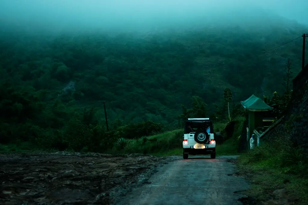 unsplash_bNWRFOnLZRs_kerala.jpg.jpg.jpg.webp