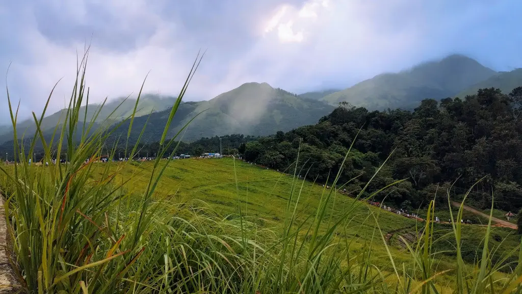 unsplash_AaCYah-6q1k_kerala.jpg.jpg.webp