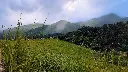 unsplash_AaCYah-6q1k_kerala.jpg.jpg.webp