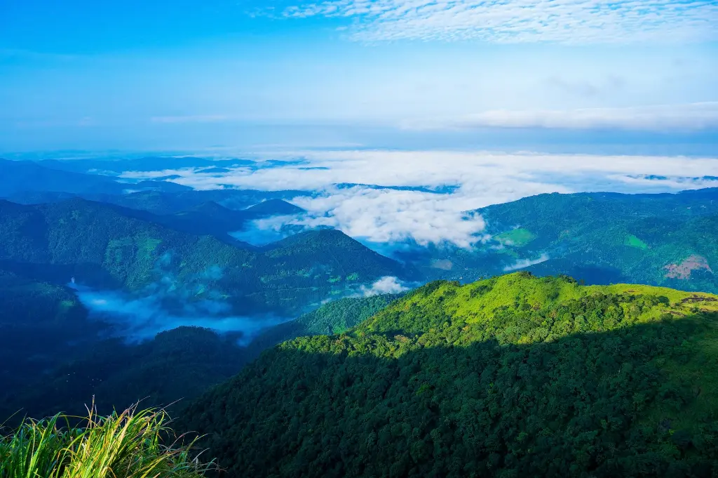 unsplash_VSsgLjTIjko_KERALA.webp