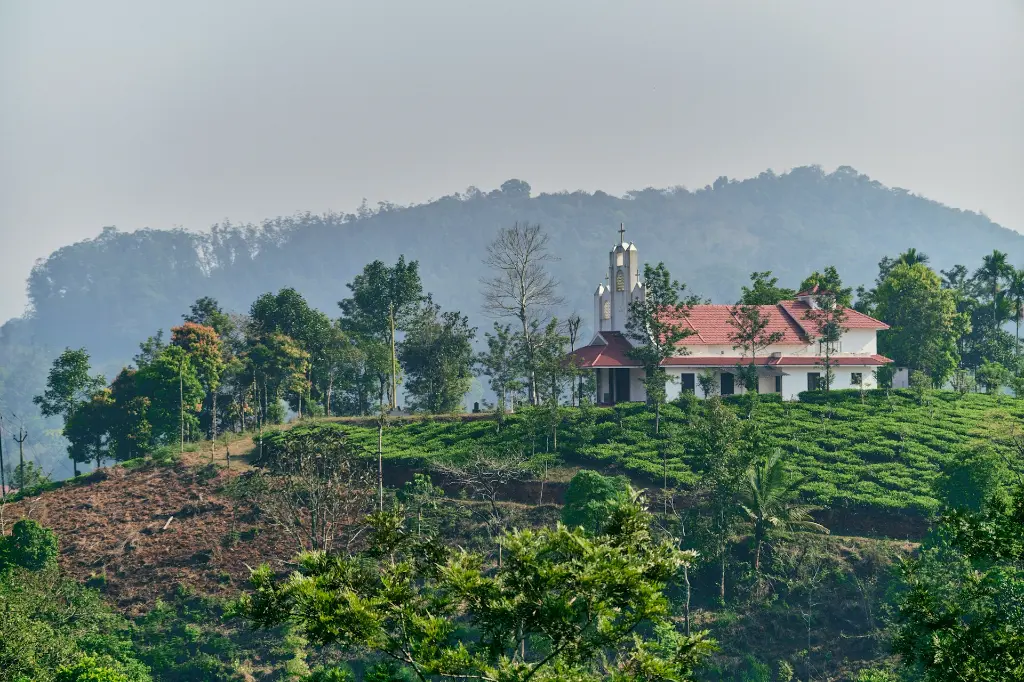 unsplash_UsAb4p2P8vA_kerala.jpg.jpg.jpg.jpg.jpg.jpg.jpg.jpg.webp