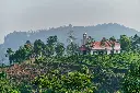 unsplash_UsAb4p2P8vA_kerala.jpg.jpg.jpg.jpg.jpg.jpg.jpg.jpg.webp