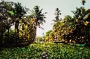 unsplash_Cge00rCI62Y_kerala.jpg.jpg.jpg.jpg.jpg.jpg.jpg.webp