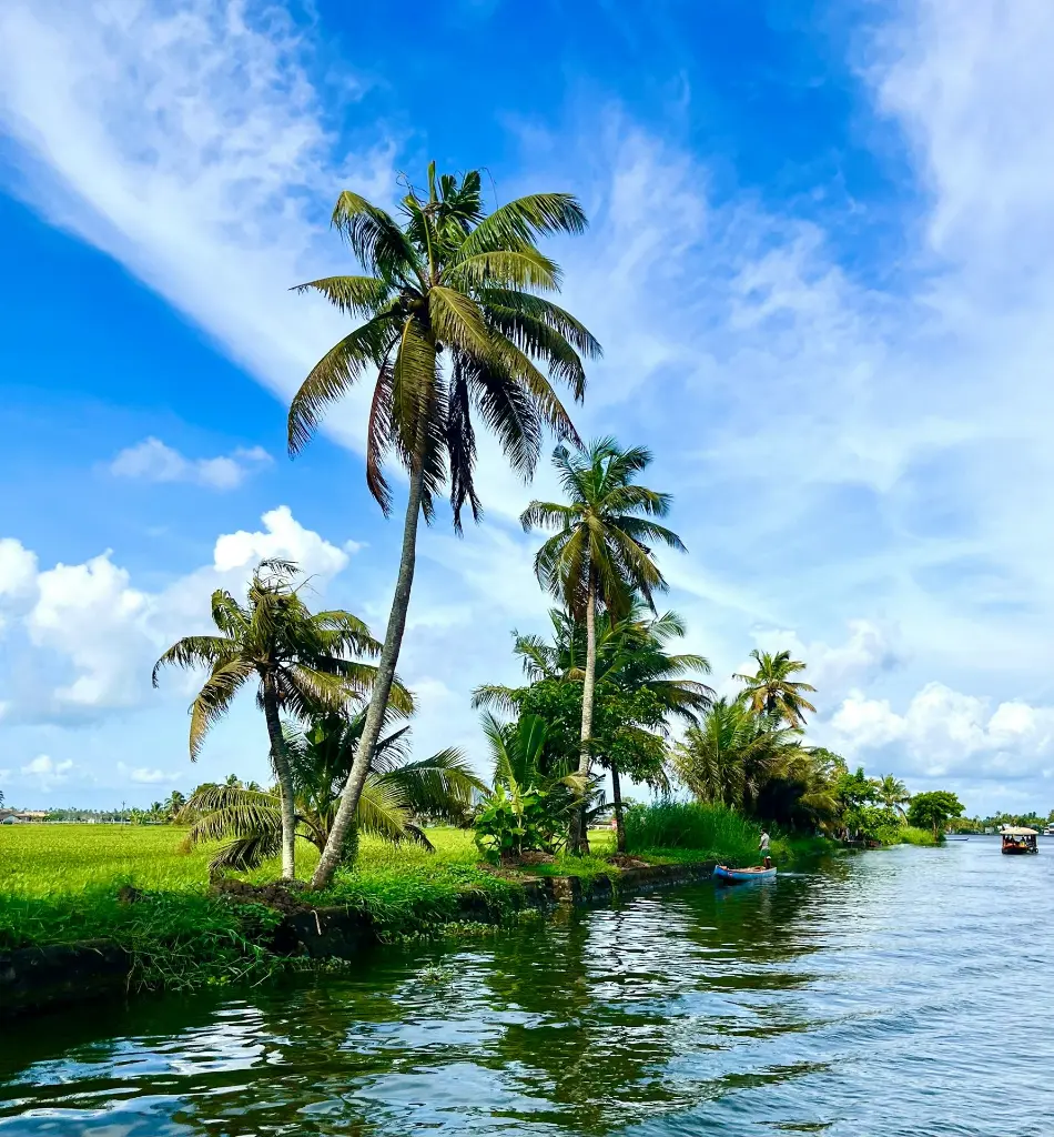 unsplash_YwiMfbiKFmY_kerala.jpg.jpg.jpg.jpg.webp