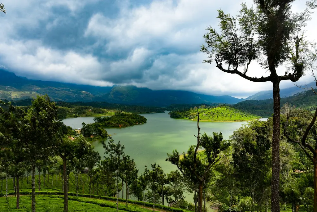 unsplash_zaaXmaX9Sq4_kerala.jpg.jpg.jpg.webp