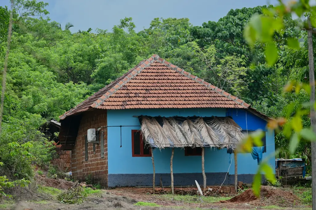 unsplash_NfaQ_Hw35vI_kerala.jpg.webp