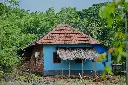 unsplash_NfaQ_Hw35vI_kerala.jpg.webp