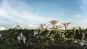 unsplash_mfBFoA6l7DY_singapore.jpg.jpg.jpg.jpg.jpg.jpg.webp