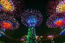 unsplash_FkD-bmfMgtw_singapore.jpg.jpg.jpg.jpg.jpg.jpg.jpg.jpg.jpg.jpg.jpg.webp