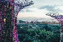 unsplash_McM5BW4jQHc_Singapore.jpg.webp