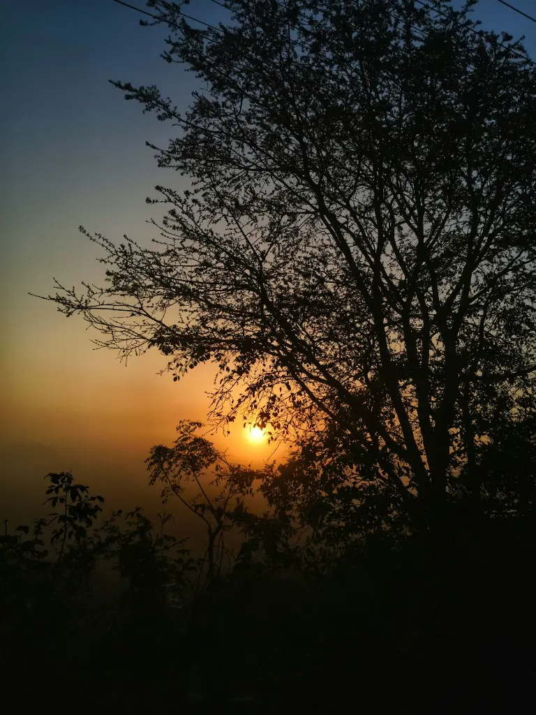 unsplash_A6qqr2MocjQ_somnath.jpg.jpg.webp