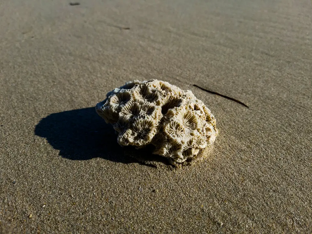 unsplash_mQUixQvI-iI_dwarka.jpg.jpg.jpg.jpg.jpg.jpg.webp