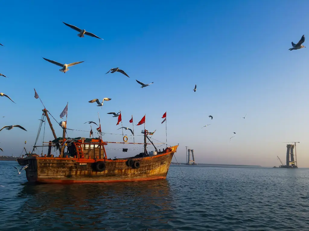 unsplash_XsPjw-WZJ7s_dwarka.jpg.jpg.jpg.jpg.webp