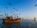 unsplash_XsPjw-WZJ7s_dwarka.jpg.jpg.jpg.jpg.webp