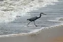 unsplash_RW_sklFYVUQ_dwarka.jpg.jpg.jpg.webp