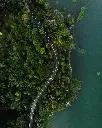 unsplash_NampFxOGrZo_Malaysia.jpg.jpg.jpg.jpg.jpg.jpg.jpg.webp
