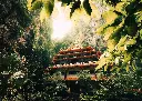 unsplash_4GYkrk4gpBo_Malaysia.jpg.jpg.jpg.jpg.webp