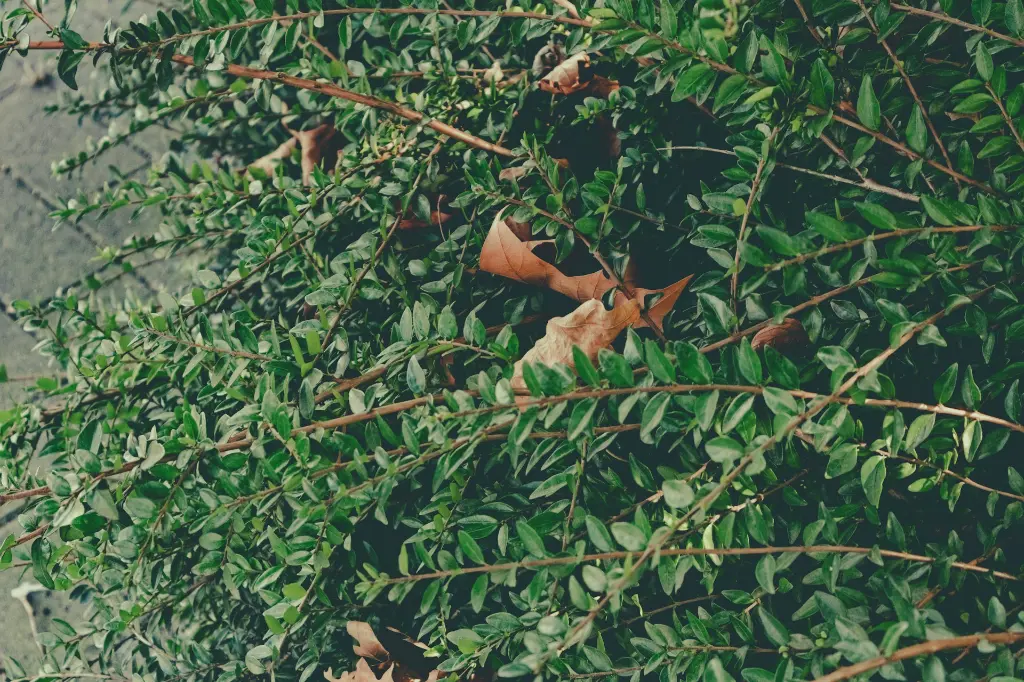 unsplash_JYJrAjBdiA0_Lakshadweep.jpg.jpg.jpg.jpg.jpg.jpg.jpg.webp