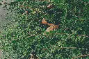 unsplash_JYJrAjBdiA0_Lakshadweep.jpg.jpg.jpg.jpg.jpg.jpg.jpg.webp