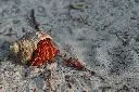 unsplash_vbHwIEJWq6o_Lakshadweep.jpg.jpg.jpg.jpg.webp