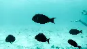 unsplash_a1LUwxilaK4_Lakshadweep.jpg.jpg.jpg.webp