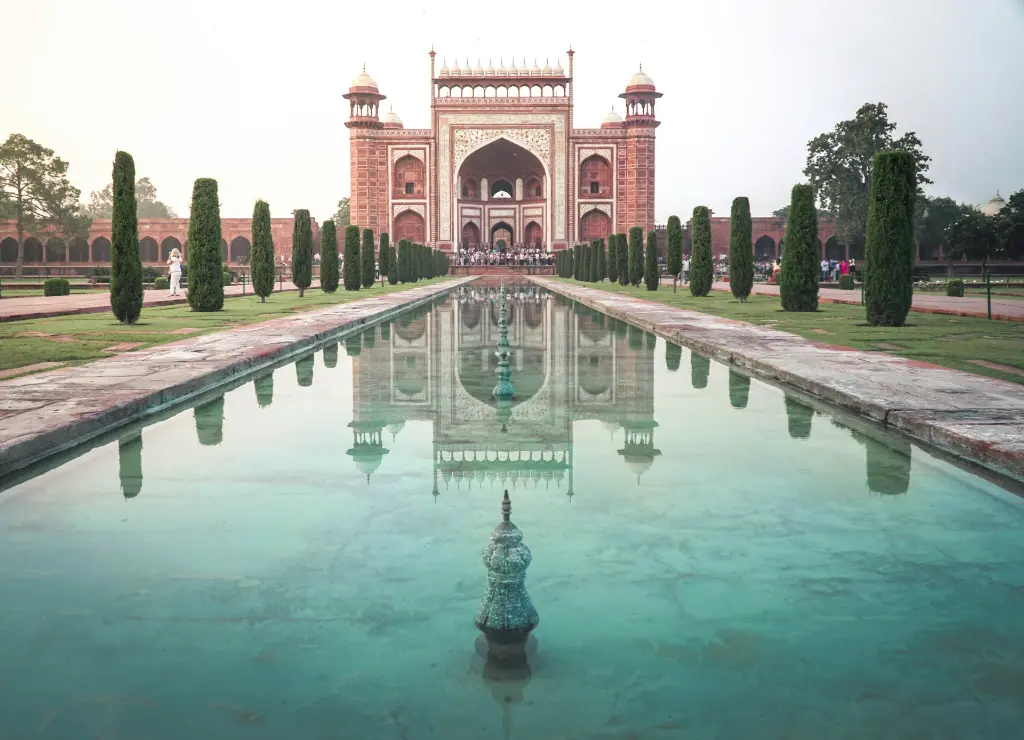 unsplash_28s5r-zA6Lw_agra.jpg.jpg.webp