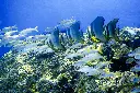 unsplash_HO4iUZN2JPQ_phuket.jpg.jpg.jpg.webp