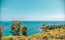 unsplash_pgwUEi7Q2t0_phuket.jpg.jpg.jpg.webp
