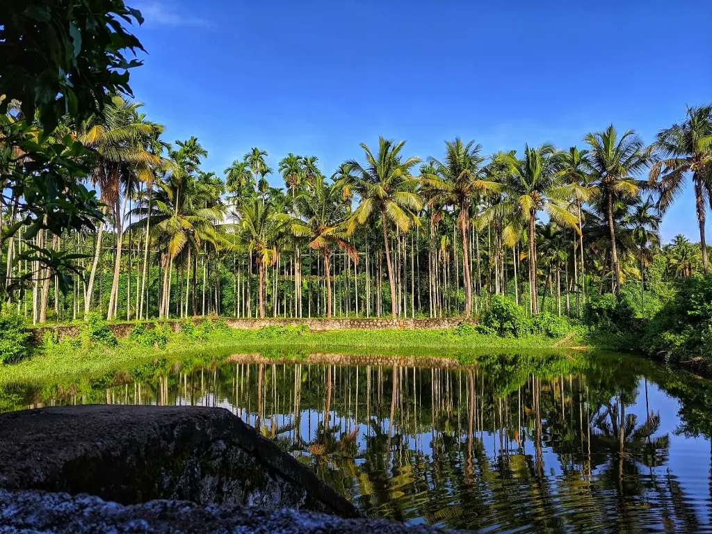 unsplash_wslZ2dG9D1U_kerala.jpg.jpg.jpg.jpg.jpg.jpg.jpg.jpg.jpg.jpg.jpg.webp