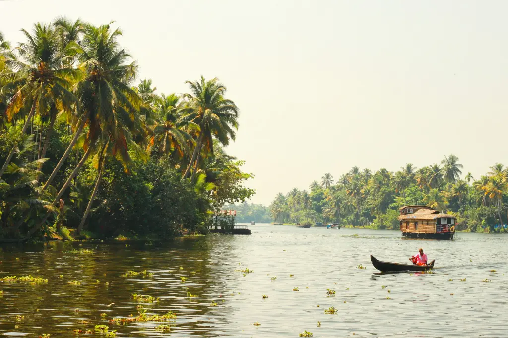 unsplash_tBtULCR72JI_kerala.jpg.jpg.jpg.jpg.jpg.jpg.jpg.jpg.jpg.jpg.webp