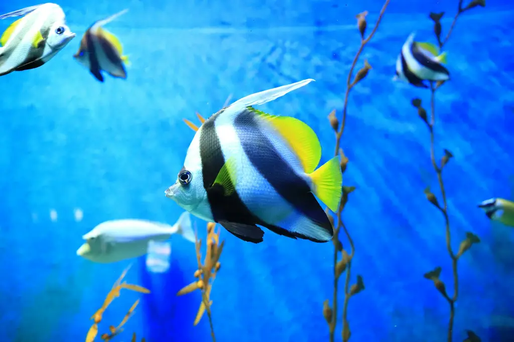 unsplash_is1fMMOoAQY_langkawi island.jpg.webp