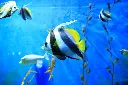 unsplash_is1fMMOoAQY_langkawi island.jpg.webp