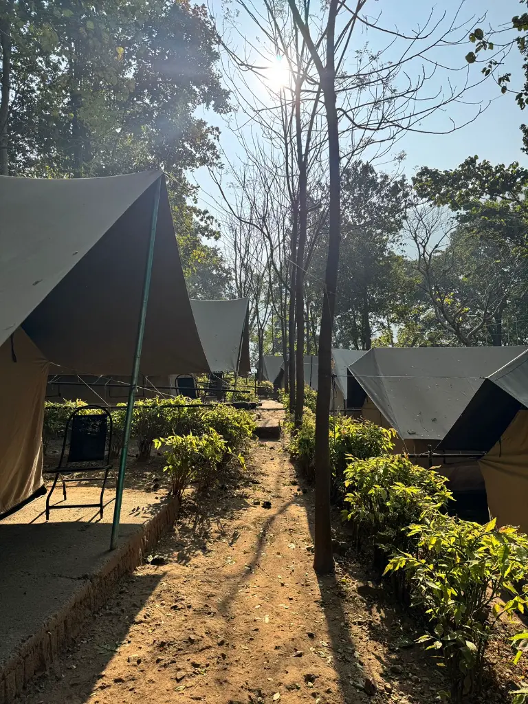 WhatsApp Image 2026-01-14 at 11.16.13 AM.webp