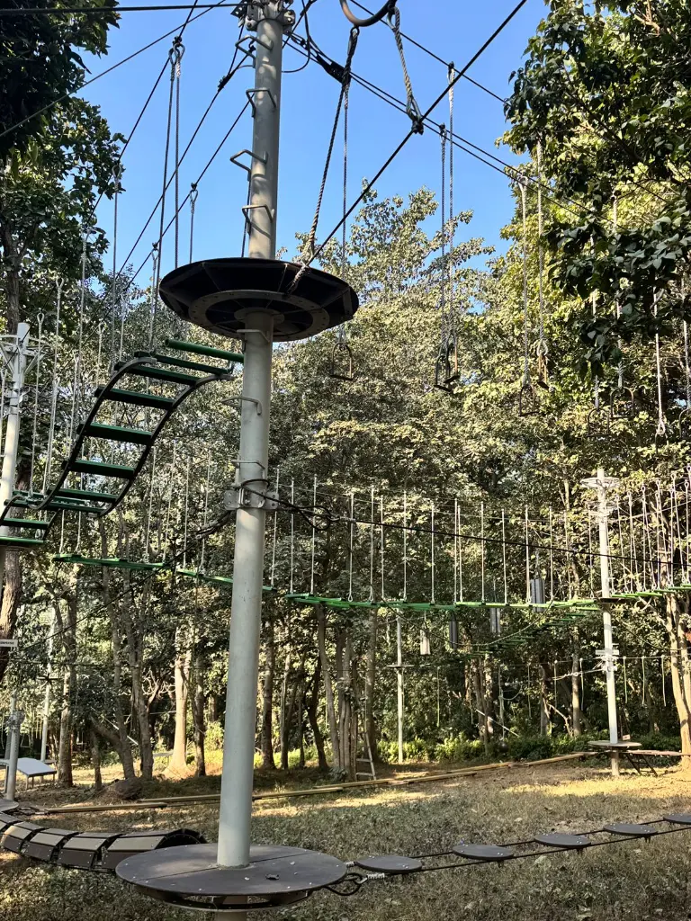 WhatsApp Image 2026-01-14 at 11.15.52 AM.webp